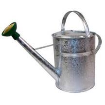 Galvanised Watering Can